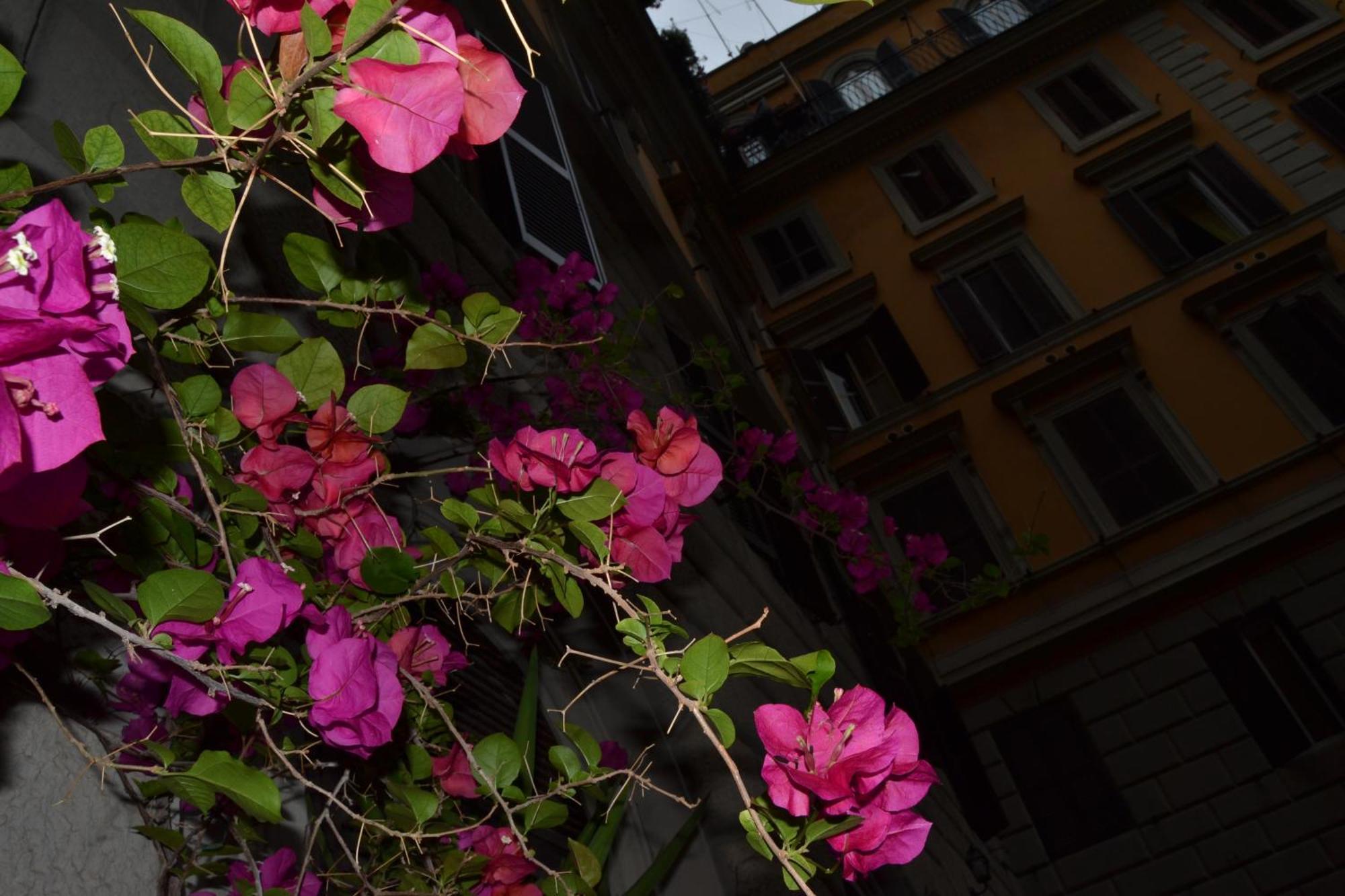 Bye Rome Guesthouse, Rome
